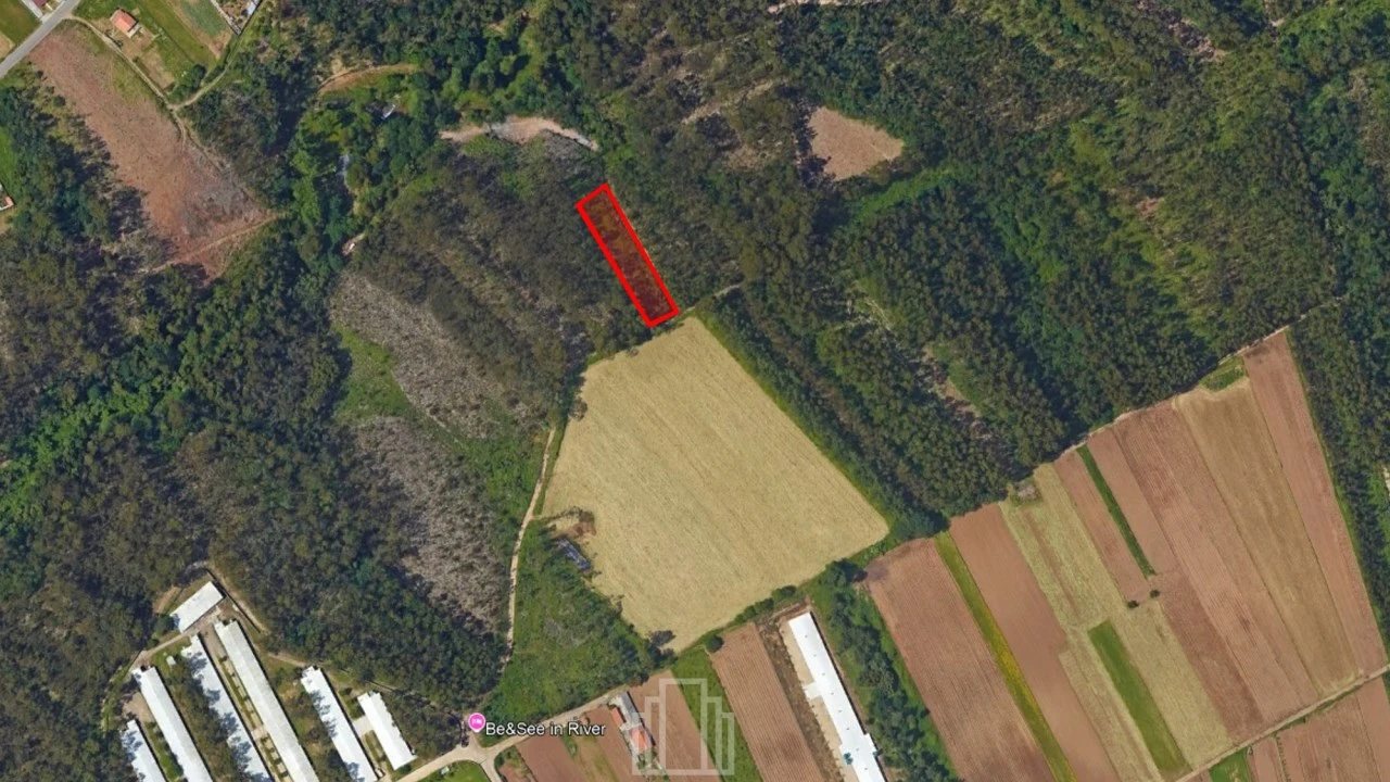 Terreno Agricola ou Rústico para Venda em Ovar, São João, Arada e São Vicente de Pereira Jusã Foto 1