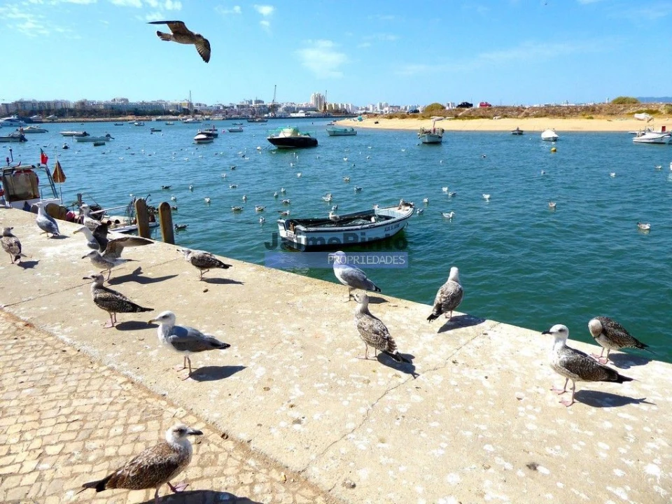 Terreno P/ Prédio para Venda em Ferragudo Foto 4