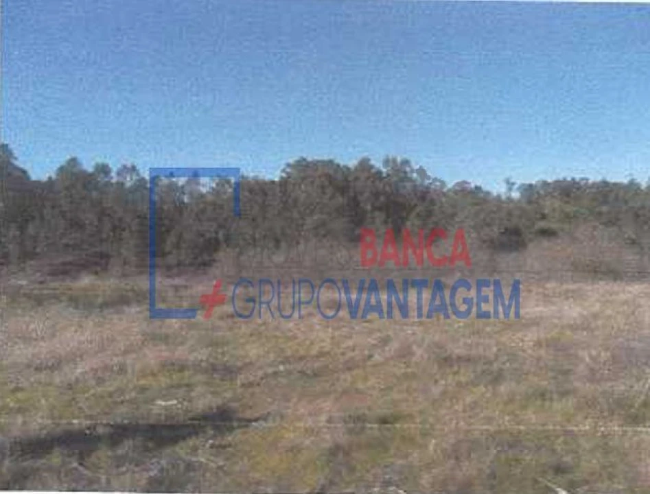 Terreno para Venda em Fonte Arcada e Oliveira Foto 2