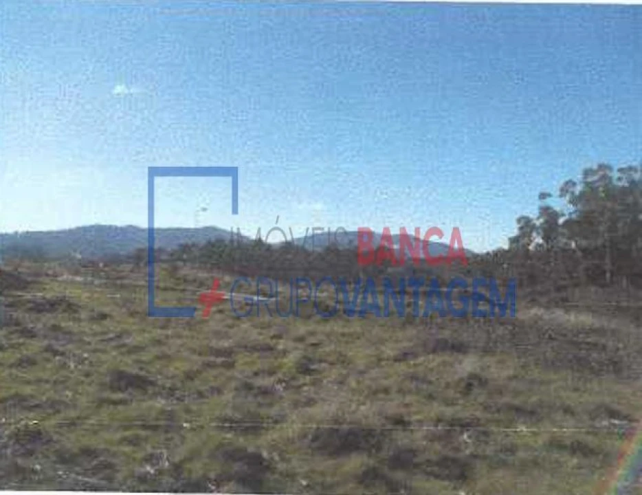 Terreno para Venda em Fonte Arcada e Oliveira Foto 7