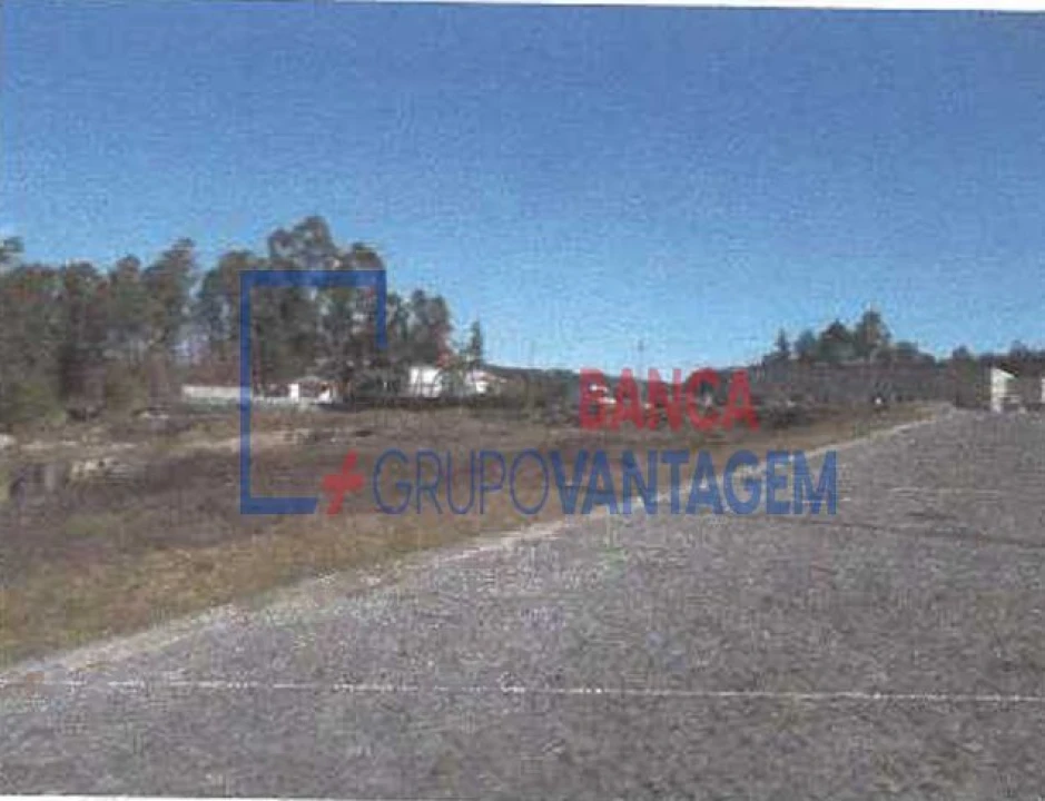 Terreno para Venda em Fonte Arcada e Oliveira Foto 8