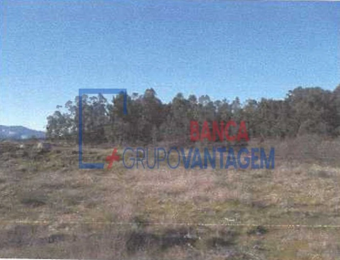 Terreno para Venda em Fonte Arcada e Oliveira Foto 3