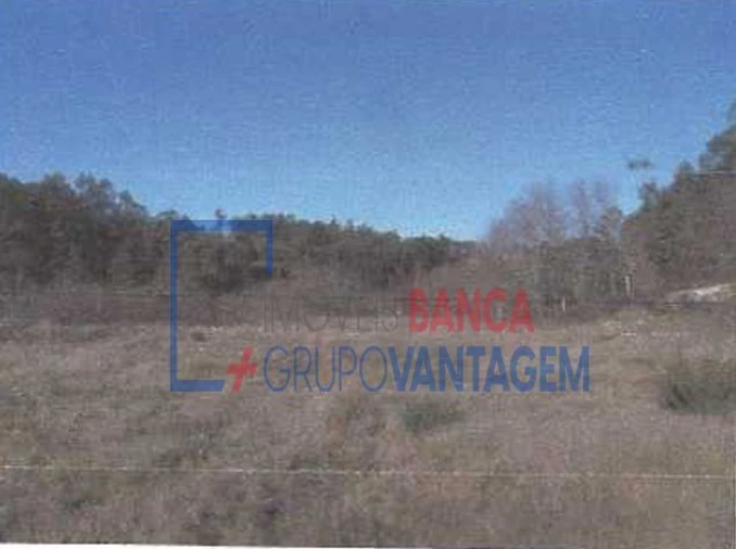 Terreno para Venda em Fonte Arcada e Oliveira Foto 4