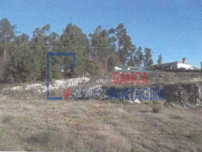 Terreno para Venda em Fonte Arcada e Oliveira Foto 5