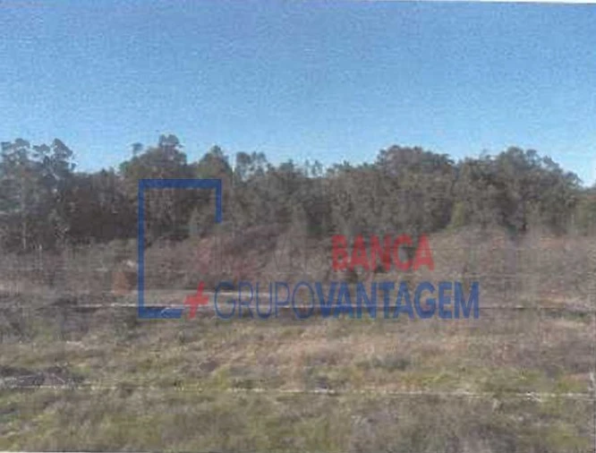 Terreno para Venda em Fonte Arcada e Oliveira Foto 9