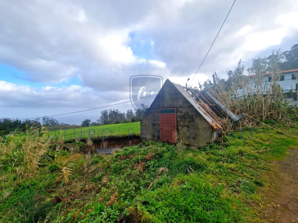 Terreno para Venda em Porto Moniz Foto 12