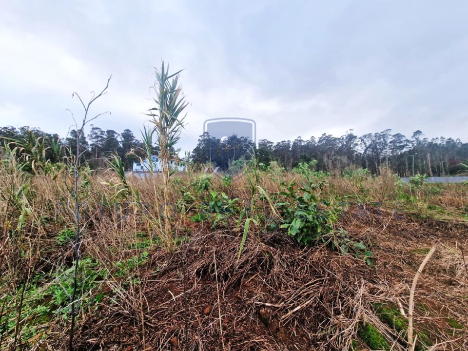 Terreno para Venda em Porto Moniz Foto 13