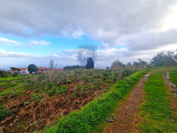 Terreno para Venda em Porto Moniz Foto 5