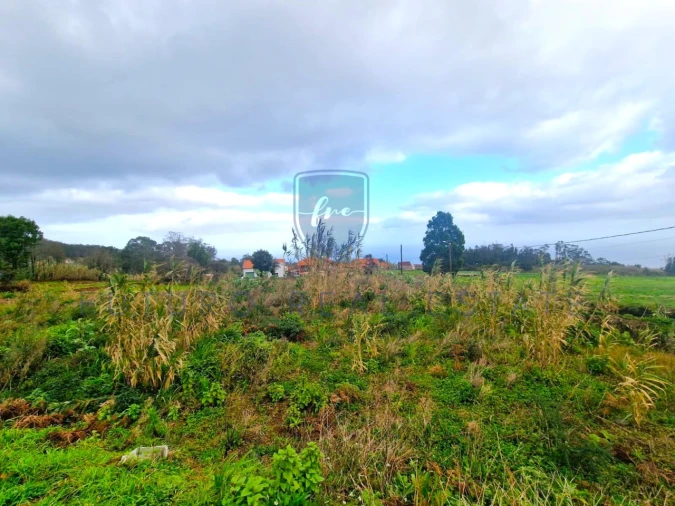 Terreno para Venda em Porto Moniz Foto 10