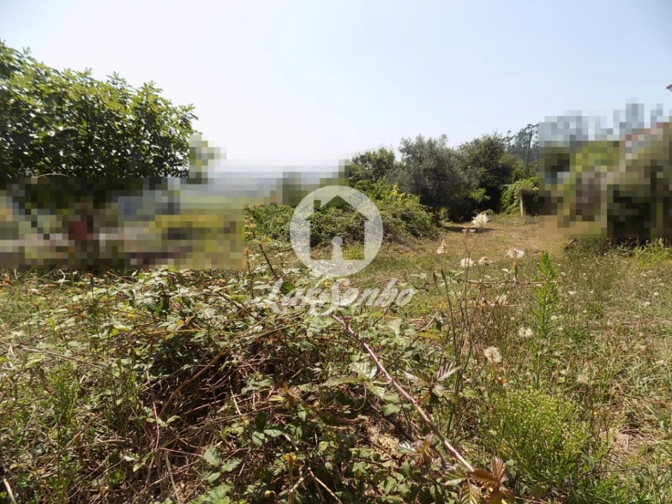 Terreno para Venda em Lemenhe, Mouquim e Jesufrei Foto 2