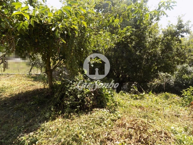 Terreno para Venda em Lemenhe, Mouquim e Jesufrei Foto 4