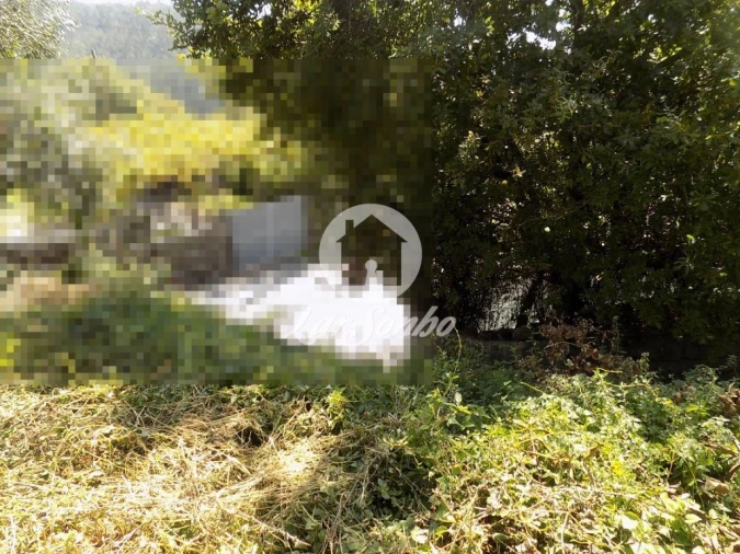 Terreno para Venda em Lemenhe, Mouquim e Jesufrei Foto 5