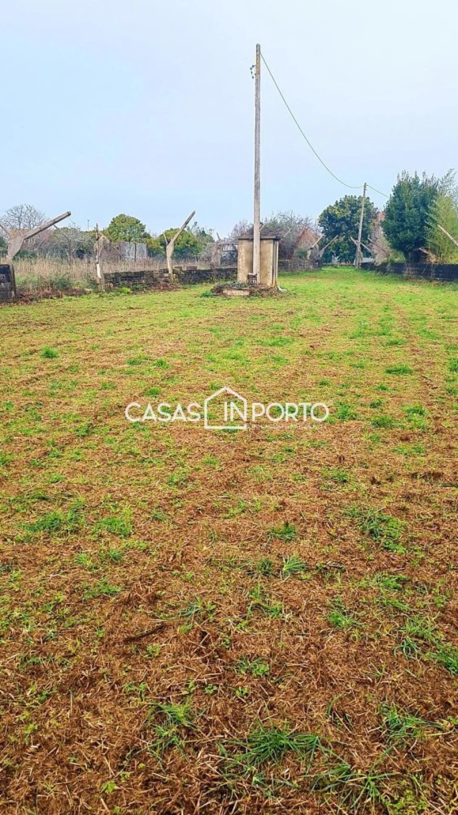 Terreno para Venda em Anta e Guetim Foto 5