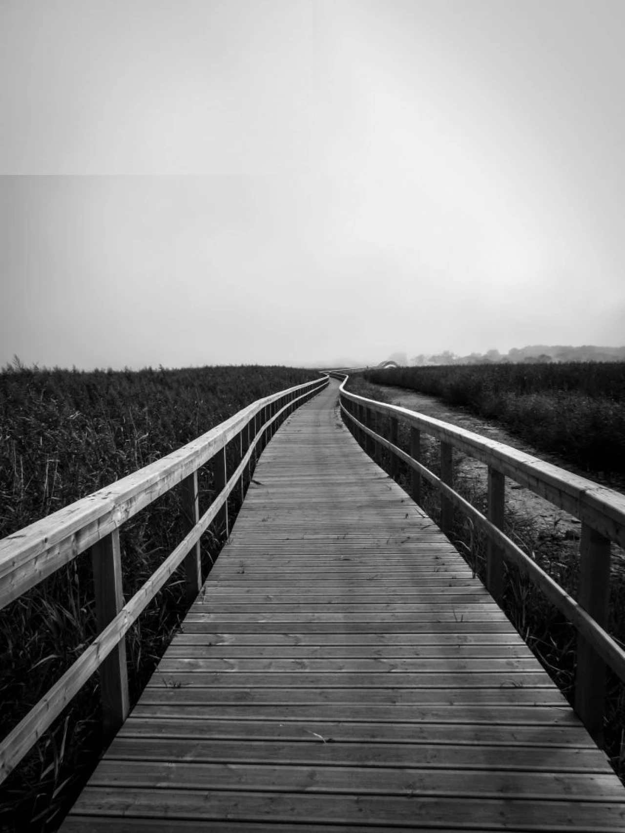 Apartamento T0 para Venda em Ílhavo (São Salvador) Foto 13