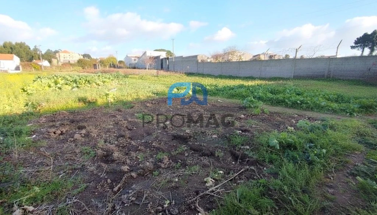 Loja para Venda em Gulpilhares e Valadares Foto 16
