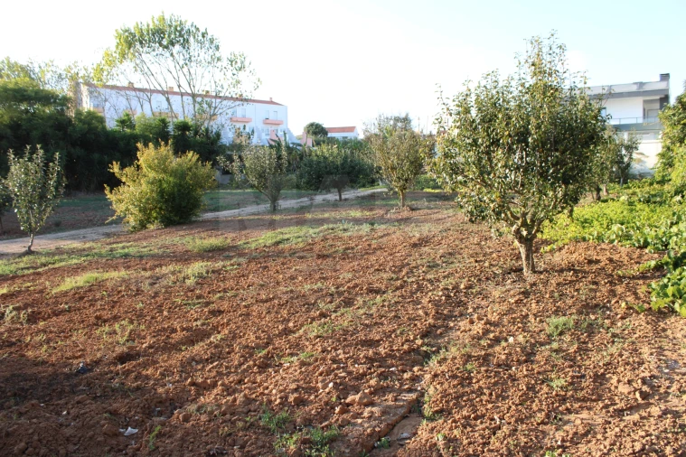 Terreno para Venda em Lourinhã e Atalaia Foto 3