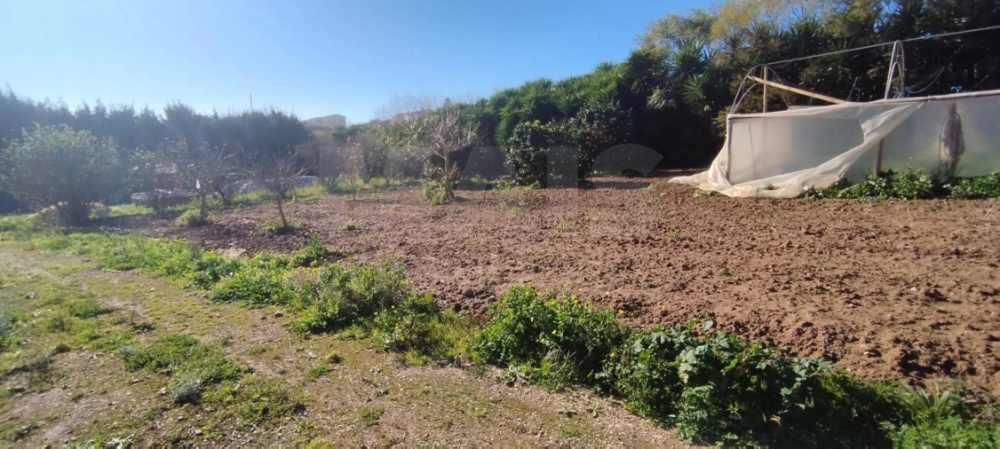 Terreno para Venda em Lourinhã e Atalaia Foto 9