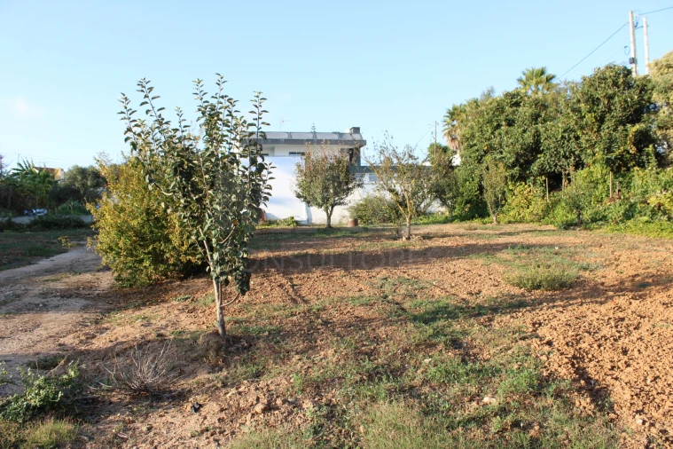 Terreno para Venda em Lourinhã e Atalaia Foto 1