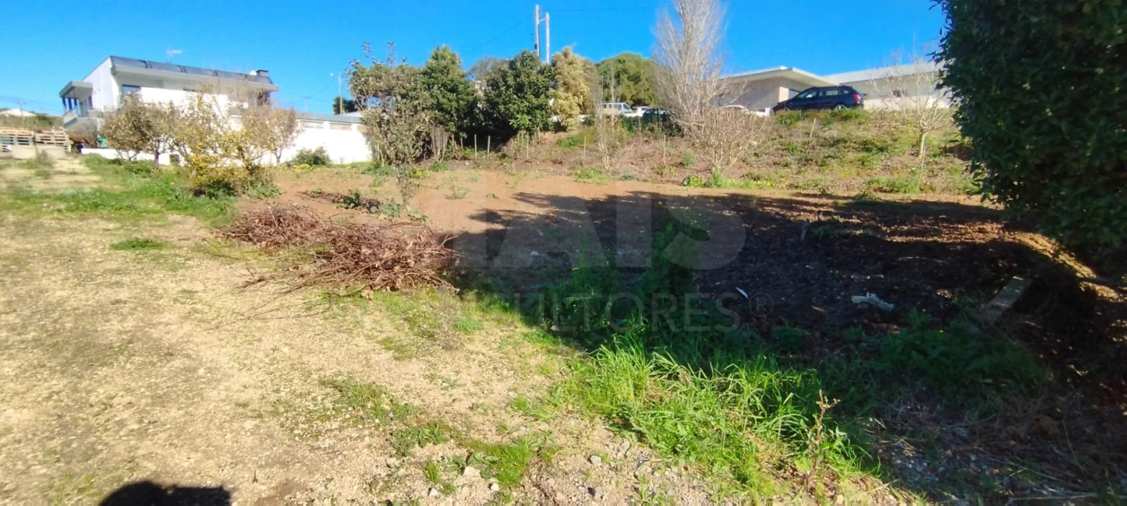 Terreno para Venda em Lourinhã e Atalaia Foto 8