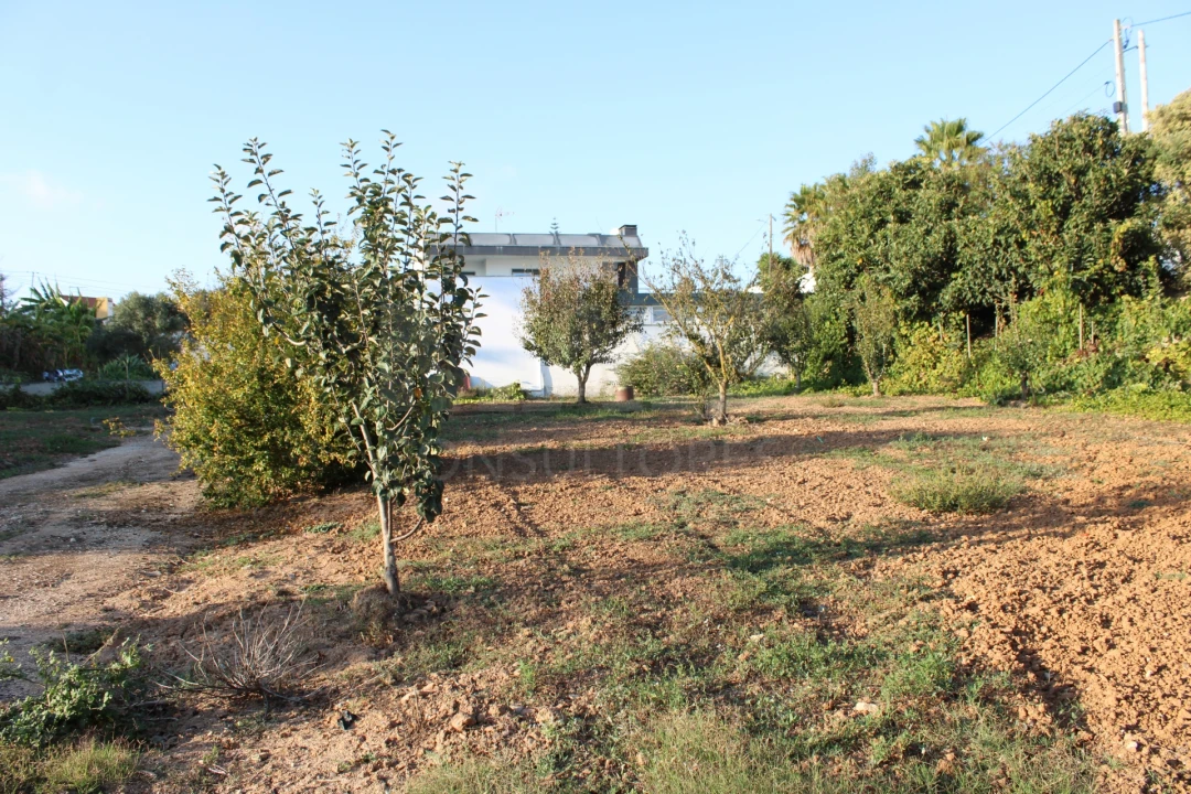 Terreno para Venda em Lourinhã e Atalaia Foto 1