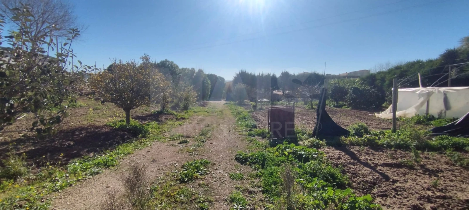 Terreno para Venda em Lourinhã e Atalaia Foto 2