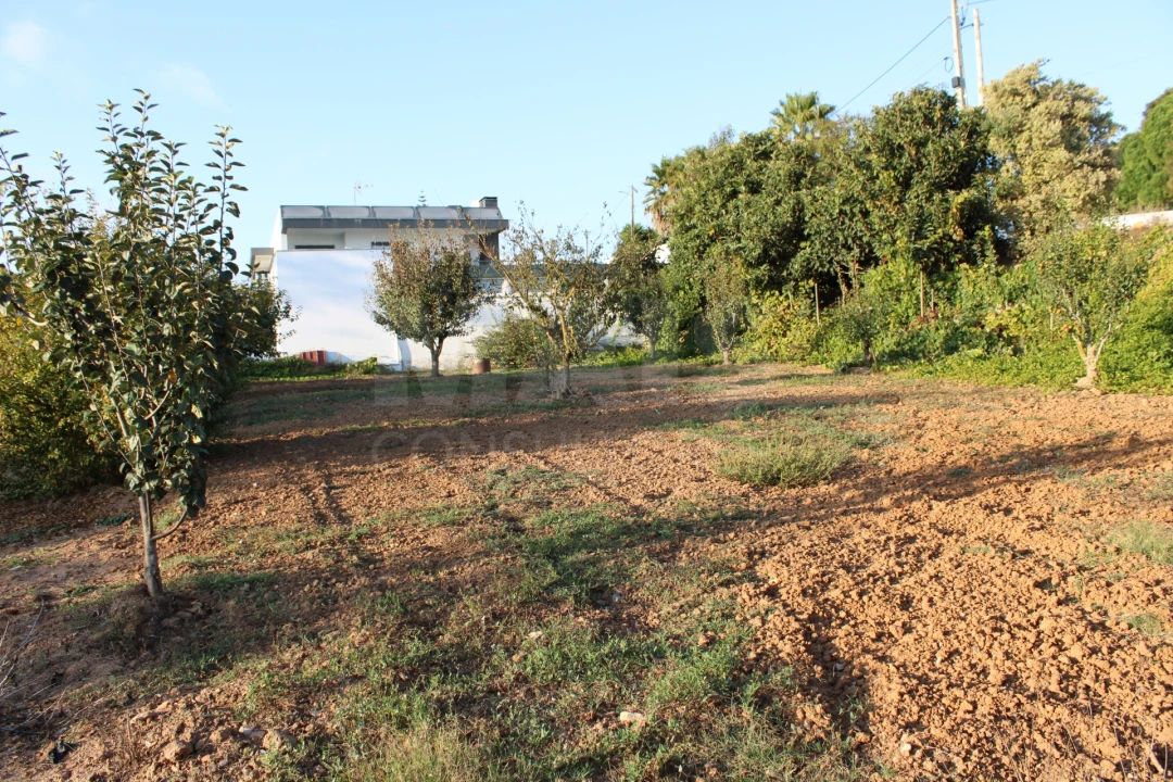 Terreno para Venda em Lourinhã e Atalaia Foto 5