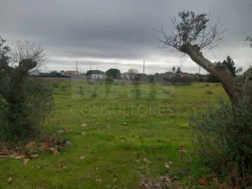 Terreno para Venda em Palmela