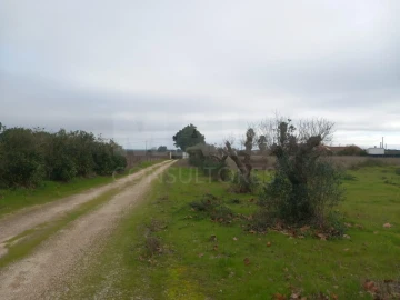 Terreno para Venda em Palmela