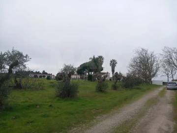Terreno para Venda em Palmela