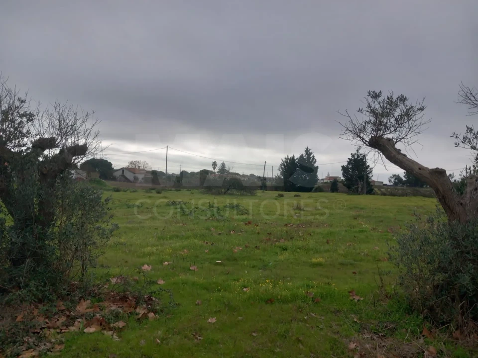 Terreno para Venda em Palmela Foto 3