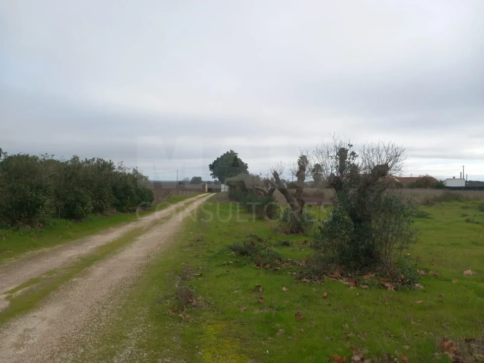 Terreno para Venda em Palmela Foto 5