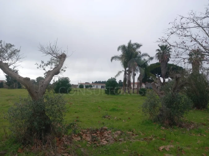 Terreno para Venda em Palmela Foto 1