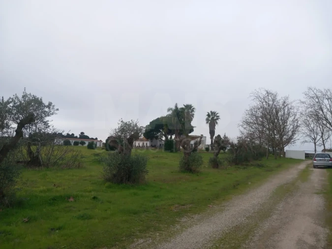 Terreno para Venda em Palmela Foto 6
