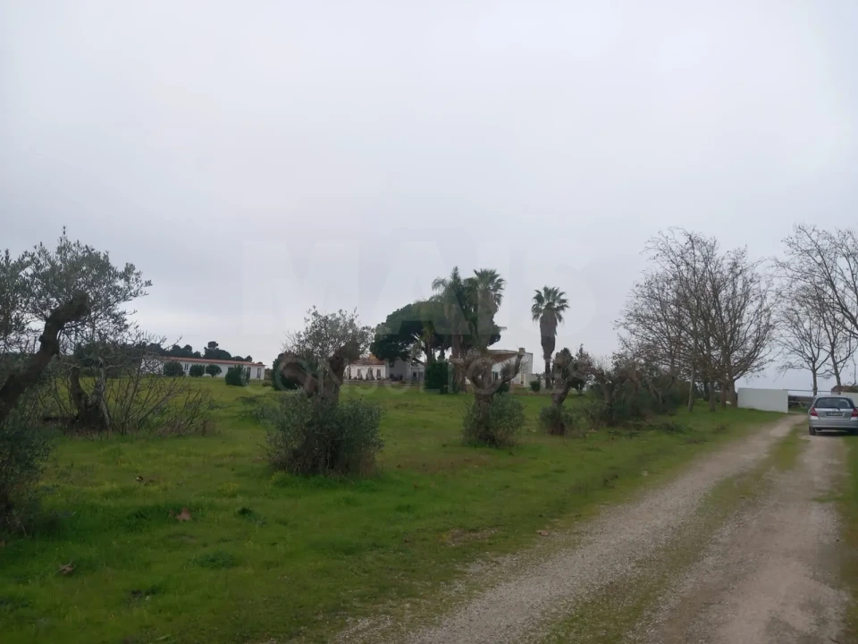 Terreno para Venda em Palmela Foto 6