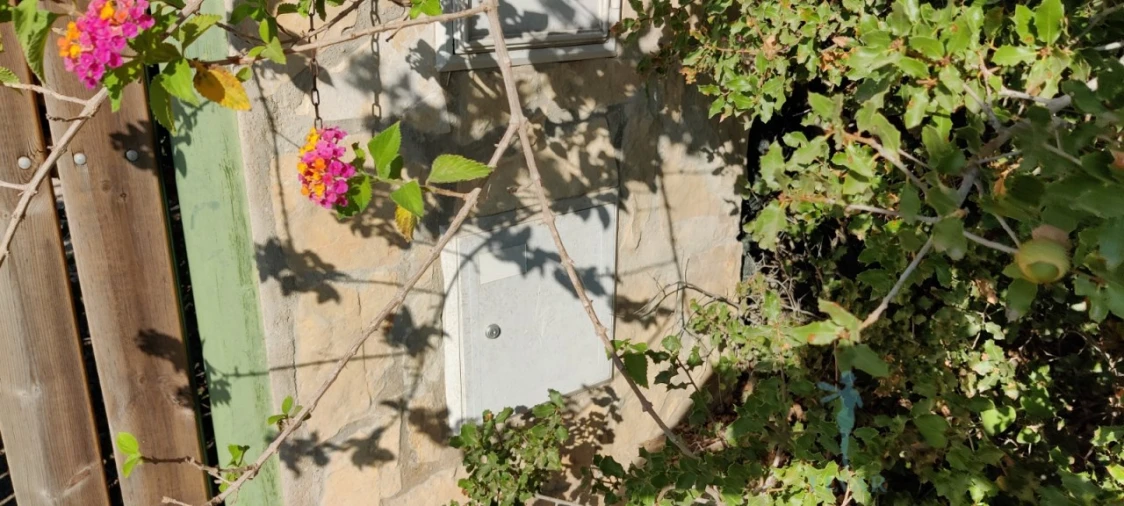 Quinta T3 para Venda em Quelfes Foto 9