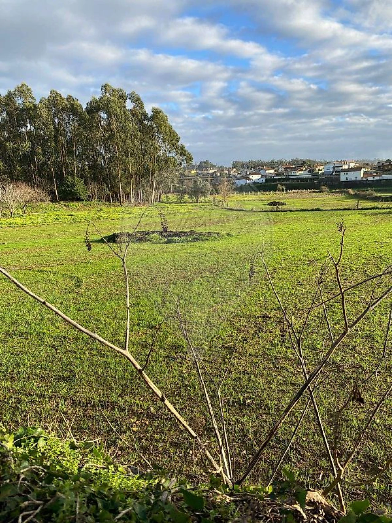 Terreno para Venda em Loureiro Foto 4