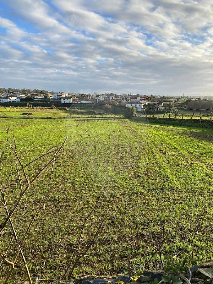 Terreno para Venda em Loureiro Foto 3