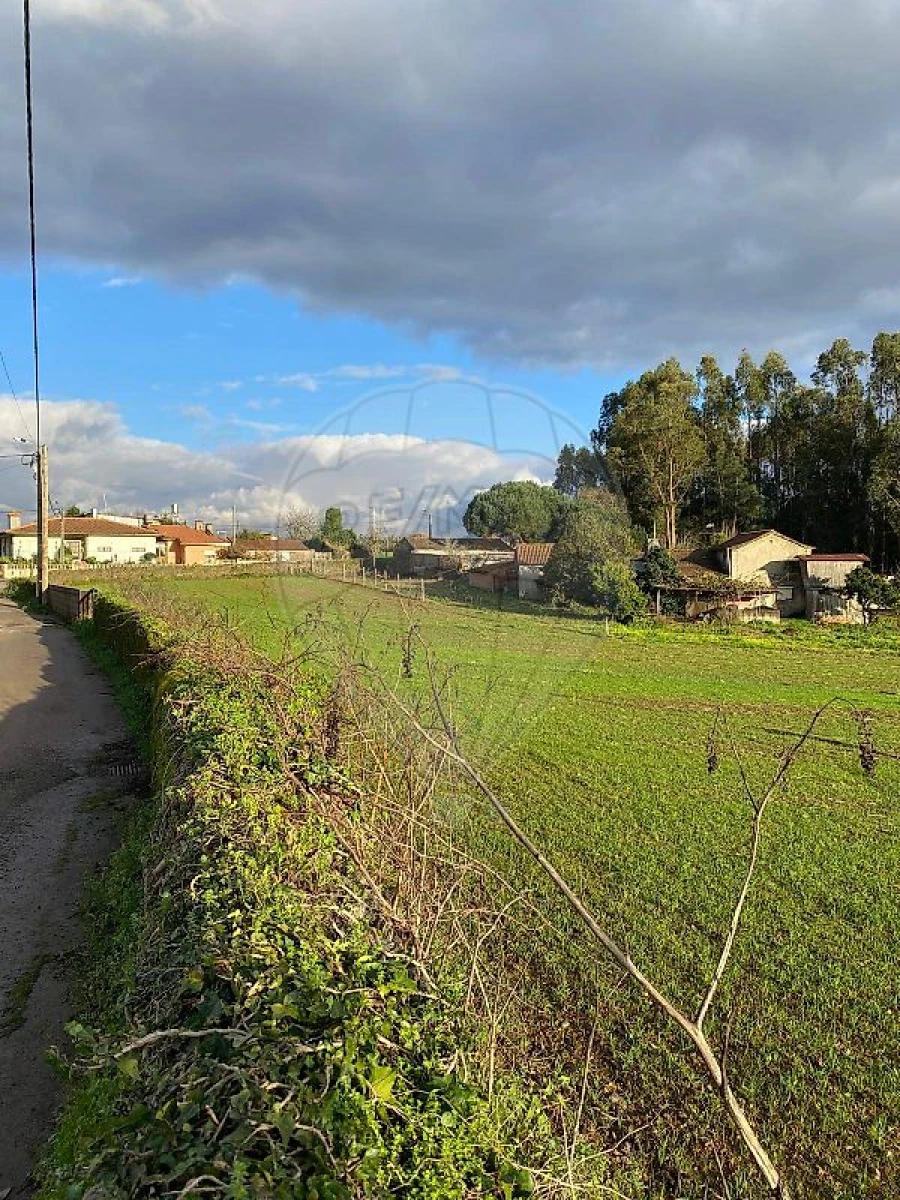Terreno para Venda em Loureiro Foto 5