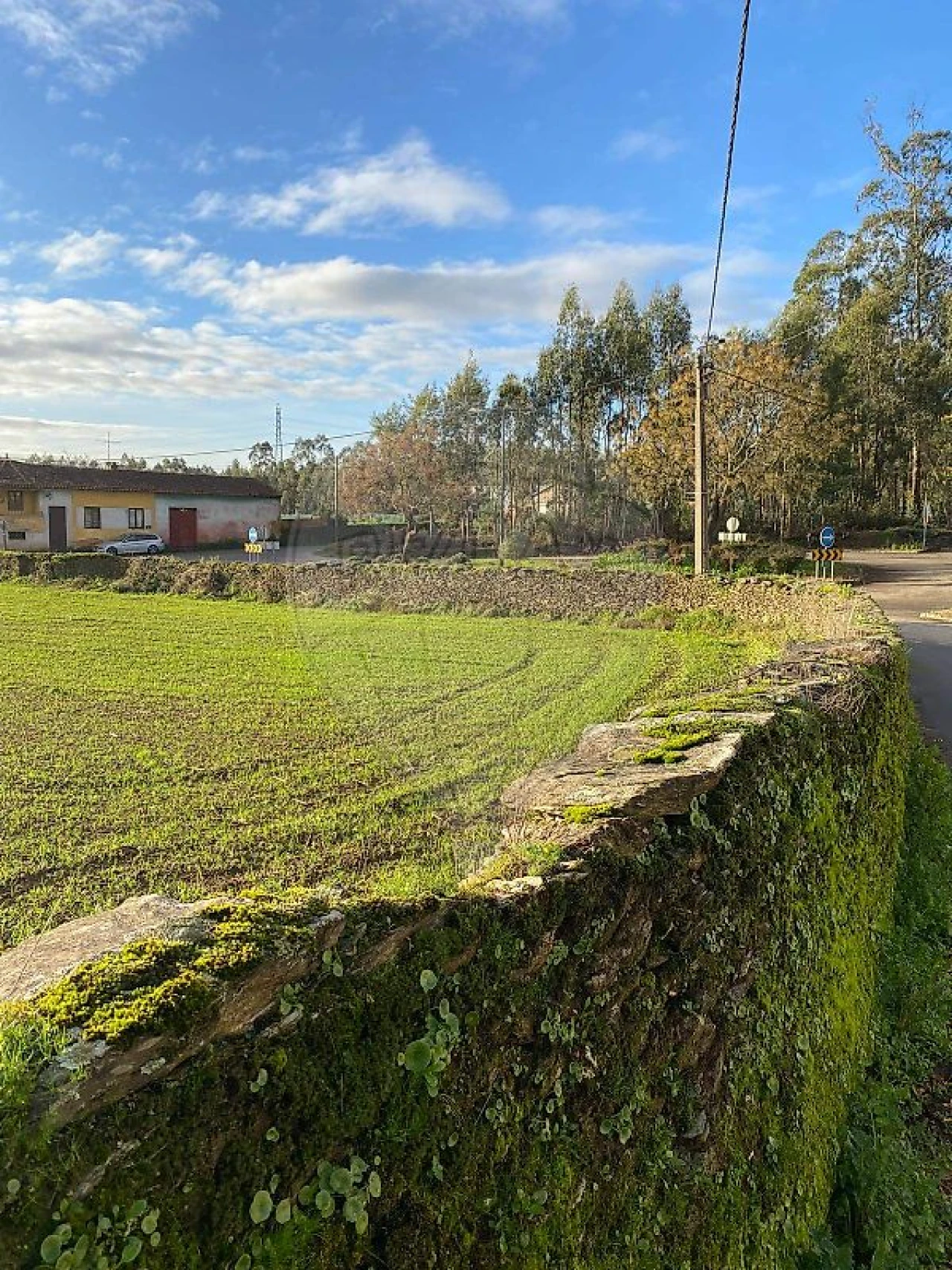 Terreno para Venda em Loureiro Foto 2