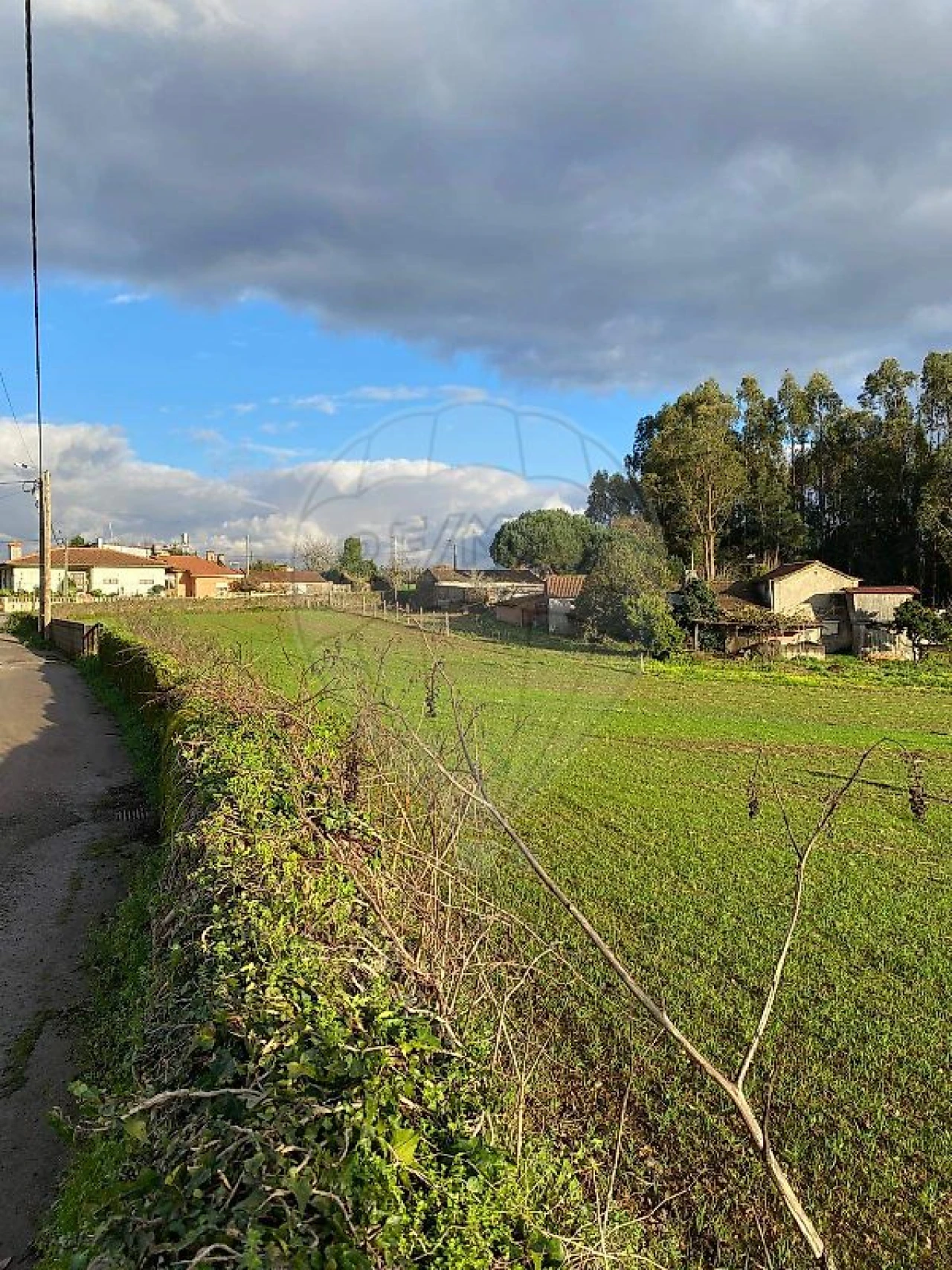 Terreno para Venda em Loureiro Foto 5