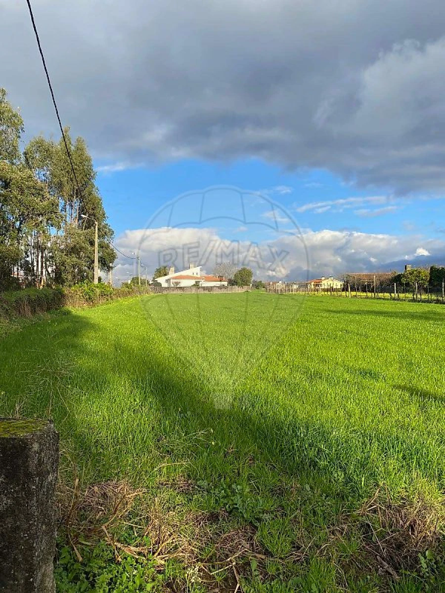 Terreno para Venda em Loureiro Foto 3