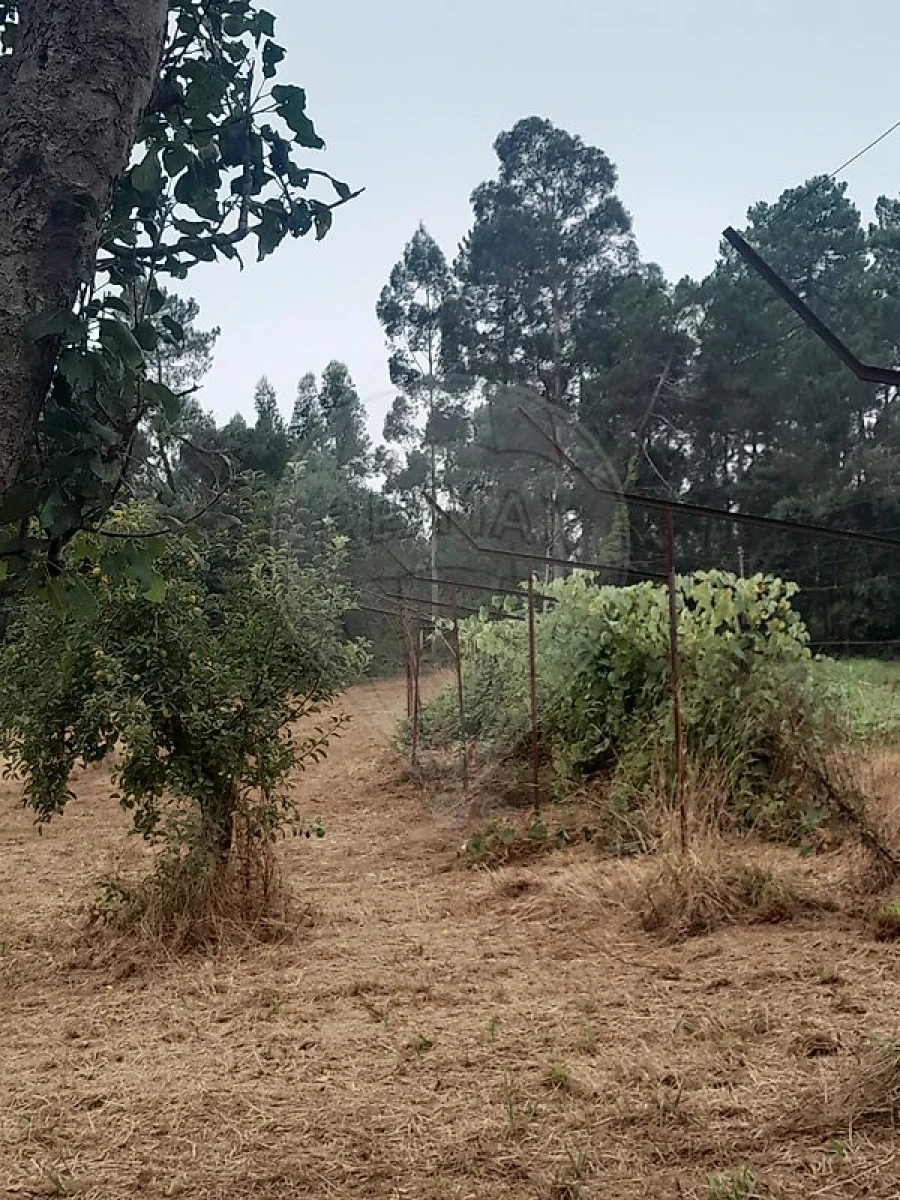 Moradia T3 para Venda em Argoncilhe Foto 14