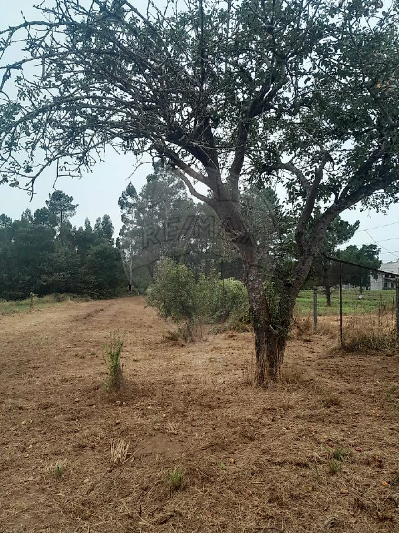 Moradia T3 para Venda em Argoncilhe Foto 4