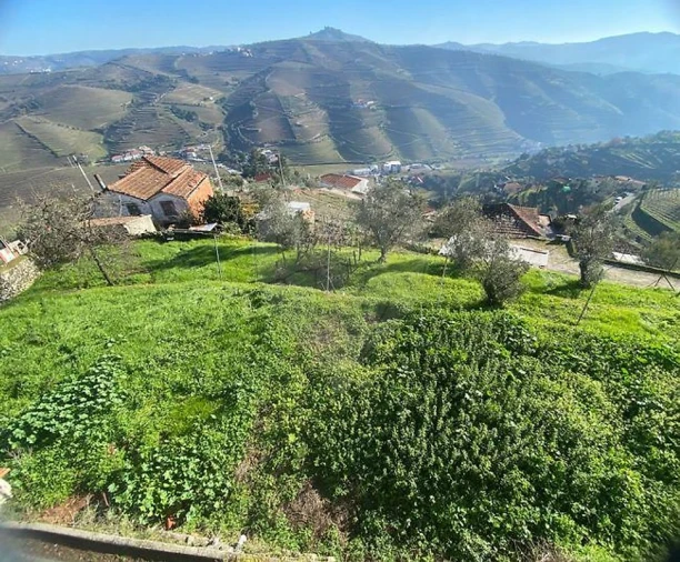 Moradia T4 para Venda em Loureiro Foto 30