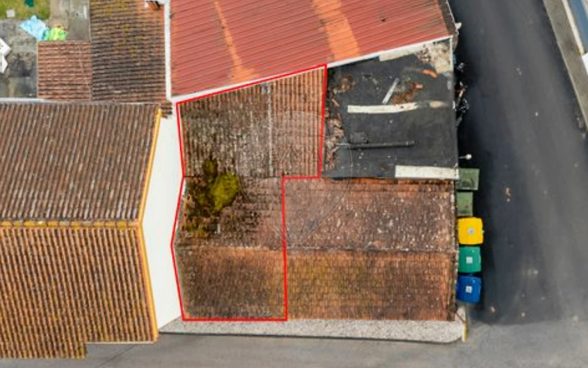 Armazém para Venda em Lamas e Cercal Foto 4