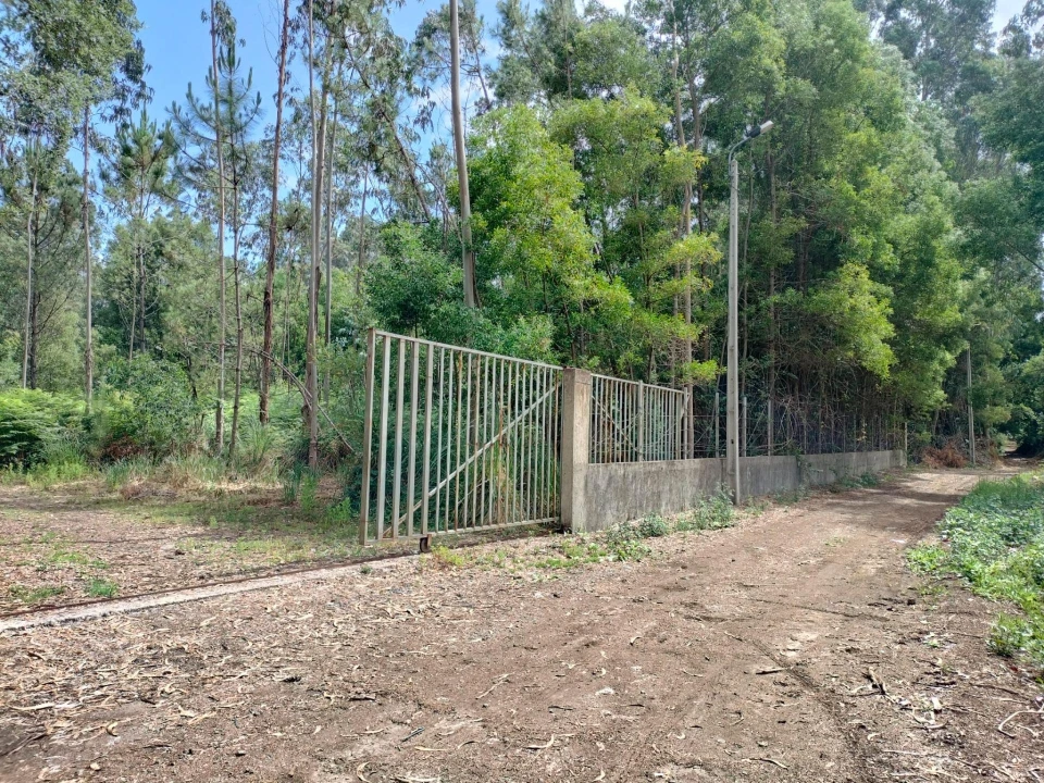 Terreno Agricola ou Rústico para Venda em Anta e Guetim Foto 3