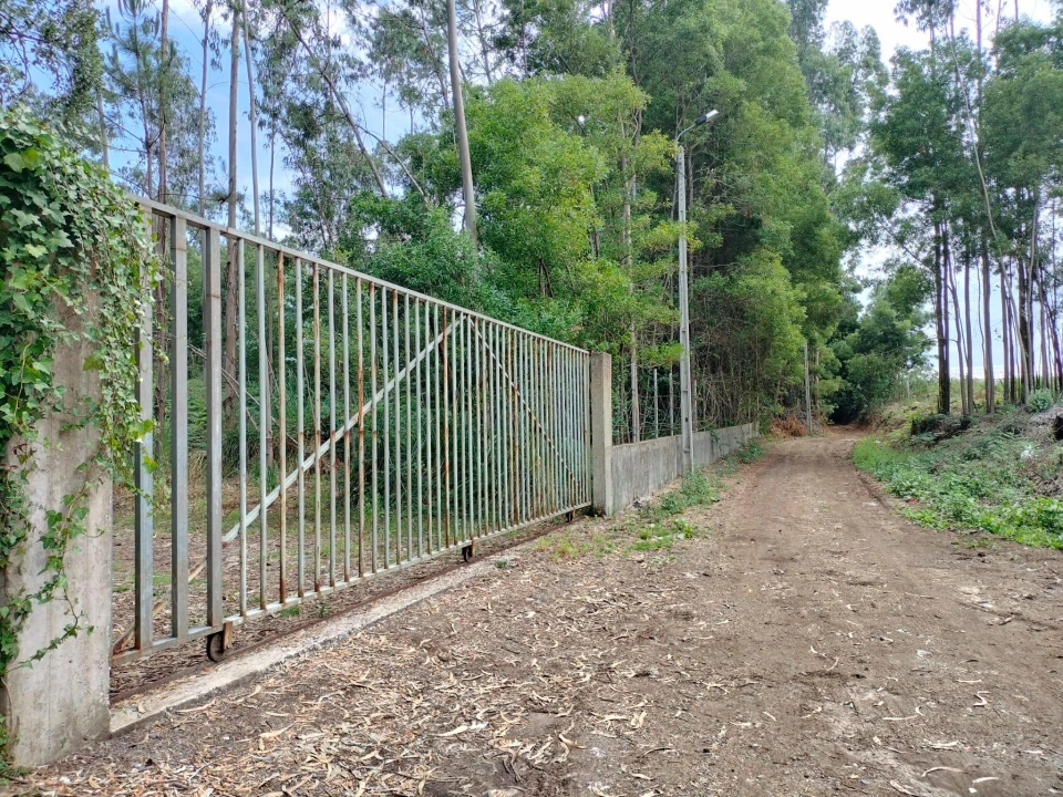Terreno Agricola ou Rústico para Venda em Anta e Guetim Foto 5