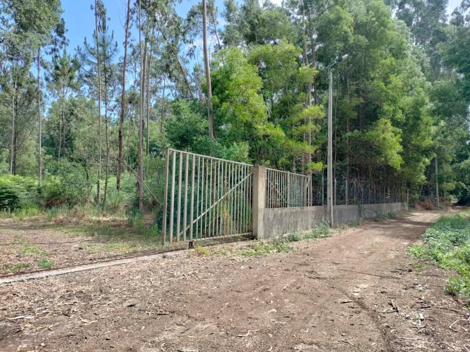 Terreno Agricola ou Rústico para Venda em Anta e Guetim Foto 3