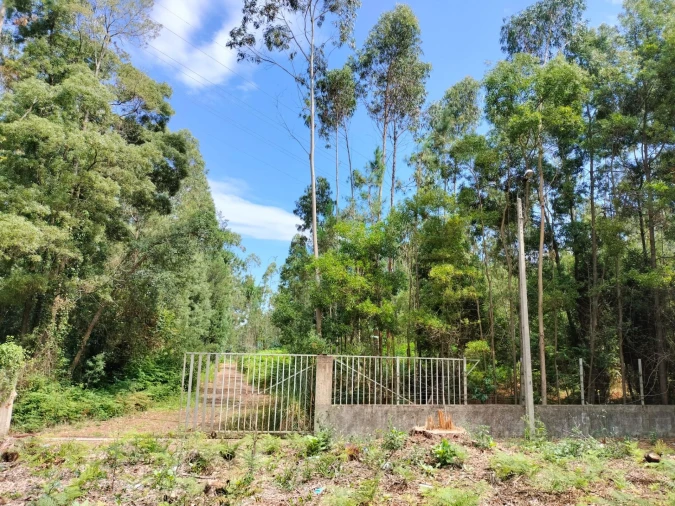 Terreno Agricola ou Rústico para Venda em Anta e Guetim Foto 4