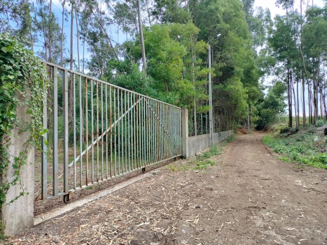 Terreno Agricola ou Rústico para Venda em Anta e Guetim Foto 5